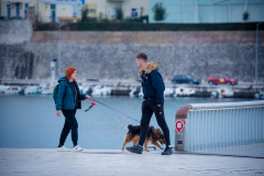 Djir_po_gradu_07_02_25_-45-of-53