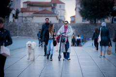 Djir_po_gradu_07_02_25_-46-of-53