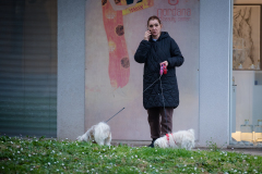 Djir_po_gradu_07_02_25_-53-of-53