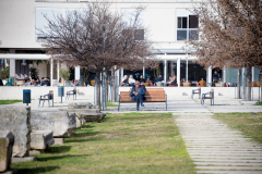 Djir_po_gradu_07_02_25_-8-of-53