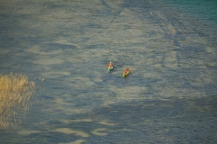DSC0790820230909