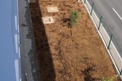 Slika-1-1-1069x1536
