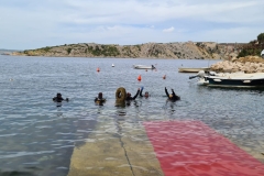 IMG-20220629-WA0020